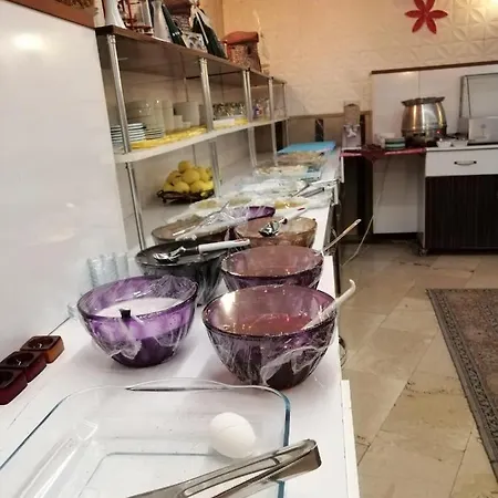 Mevlana Sems 酒店 3*