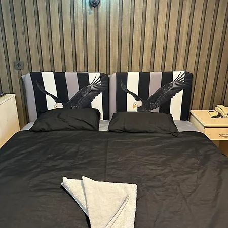 Mevlana Sems 科尼亚